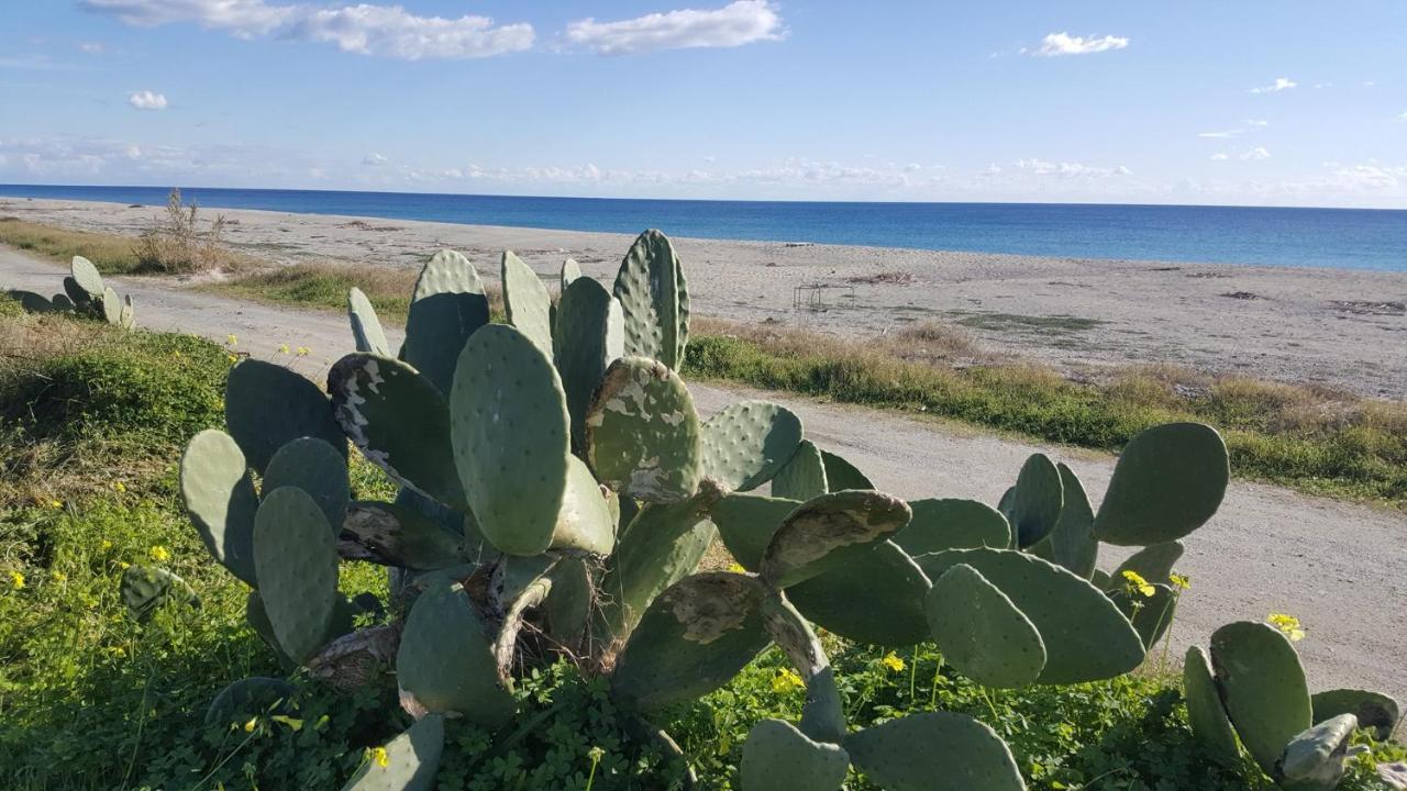 Magna Grecia B&B E Appartamenti Caulonia Marina Exteriör bild